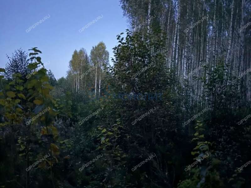 земельный участок 18 000 соток деревня Межуйки